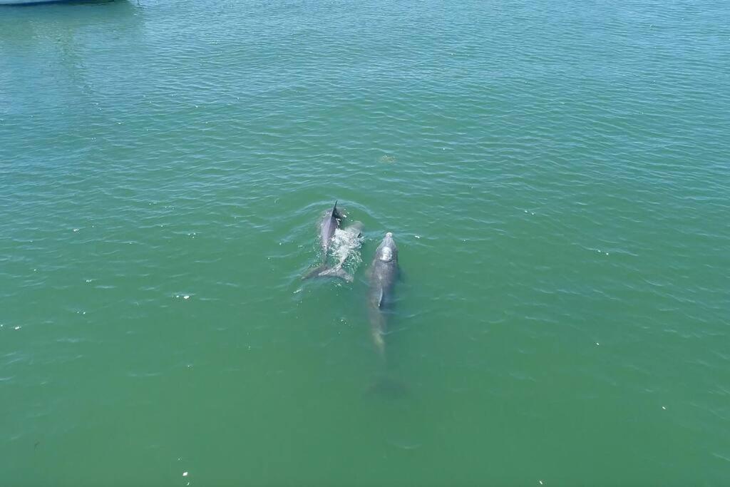 شقة Minutes To Anna Maria Island برادنتون المظهر الخارجي الصورة